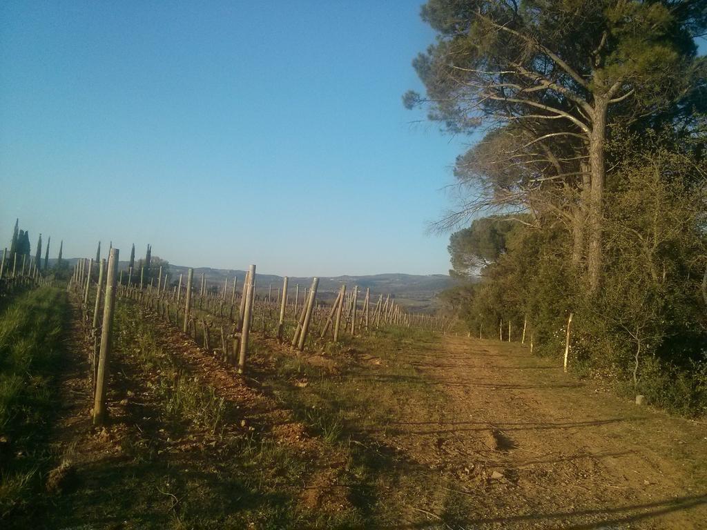 Argiano Dimore Wine Relais 외부 사진