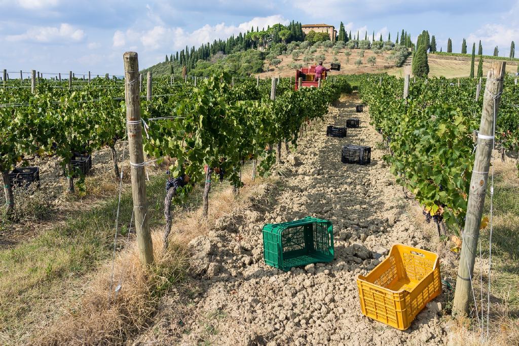 Argiano Dimore Wine Relais 외부 사진